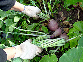 Similar image 21971455