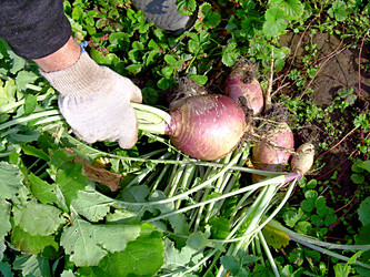 Similar image 21971462