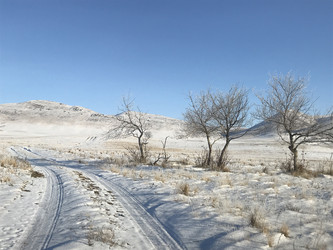 Similar image 21974707