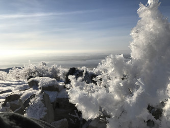 Similar image 21974711