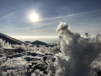 Similar image 21974712