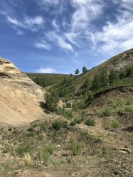 Similar image 21974603