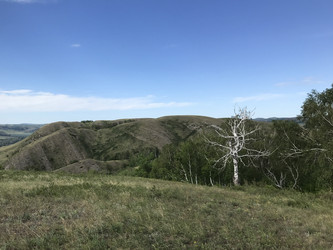 Similar image 21974604