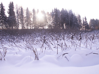 Similar image 21975033