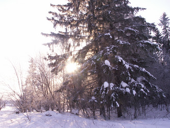 Similar image 21975034