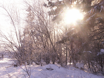 Similar image 21975035