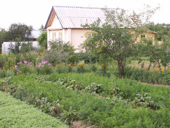 Similar image 21975036