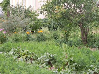 Similar image 21975037