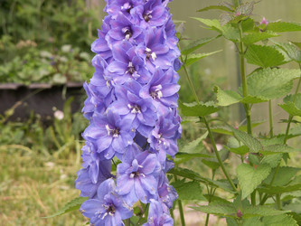 Similar image 21975038