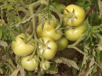 Similar image 21975043