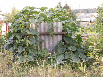 Similar image 21975044