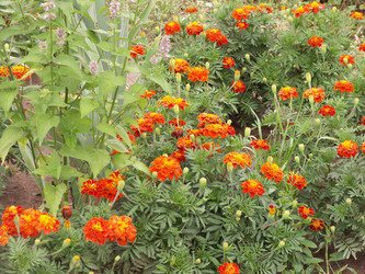 Similar image 21975048