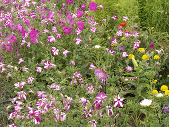 Similar image 21975049