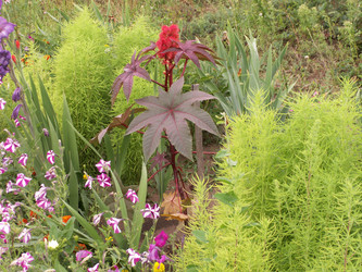 Similar image 21975050