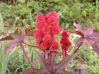 Similar image 21975051