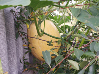 Similar image 21975053