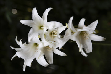 Similar image 21971701