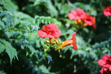 Similar image 21971705