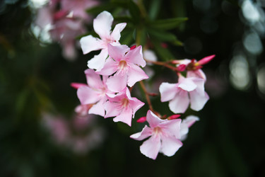 Similar image 21971707