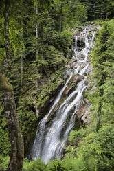 Similar image 21971879