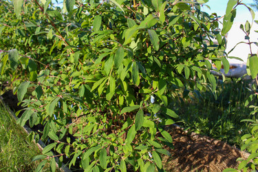 Similar image 21971077