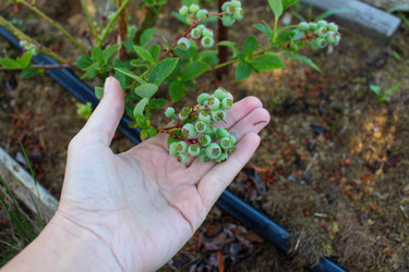 Similar image 21971078