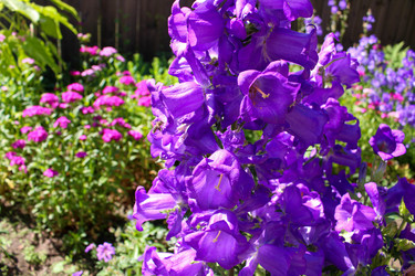 Similar image 21971081