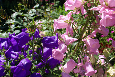 Similar image 21971082