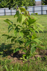 Similar image 21971084