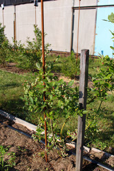 Similar image 21971312