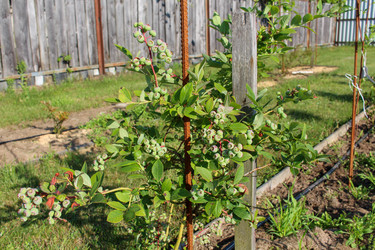 Similar image 21971313