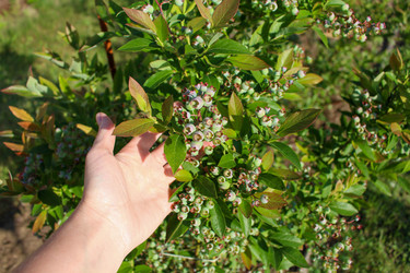 Similar image 21971314