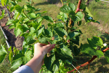 Similar image 21971315