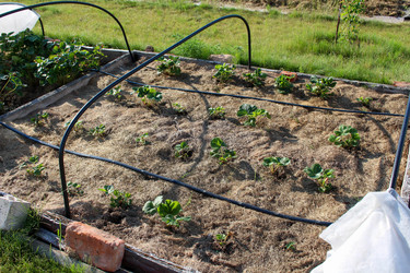 Similar image 21971316