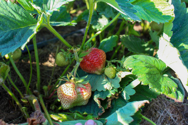 Similar image 21971317