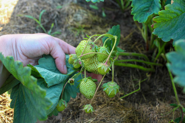 Similar image 21971318