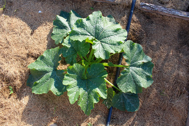 Similar image 21971320