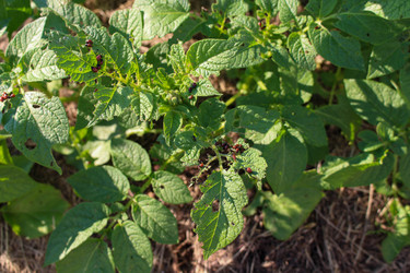 Similar image 21971321