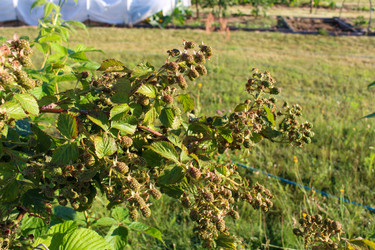 Similar image 21971324