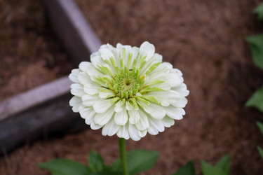 Similar image 21971329