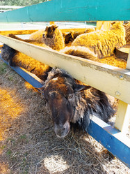 Similar image 21971085