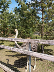 Similar image 21971086