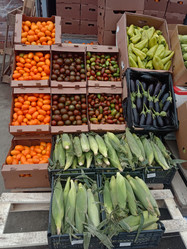 Similar image 21971089