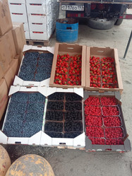 Similar image 21971091