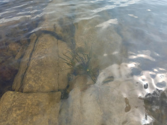 Similar image 21972999