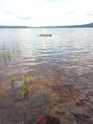 Similar image 21973001