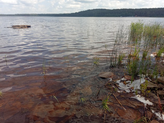 Similar image 21973002