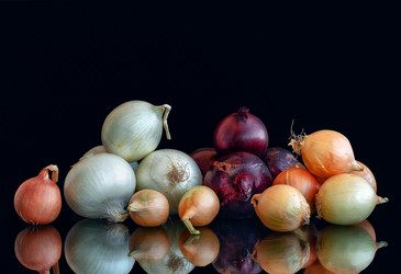 Similar image 21971110