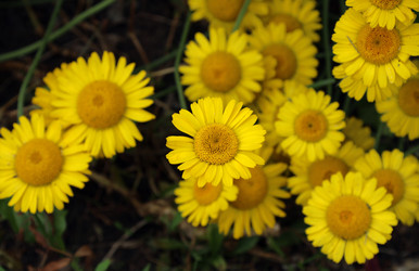 Similar image 21971115