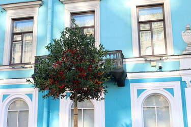 Similar image 21971118